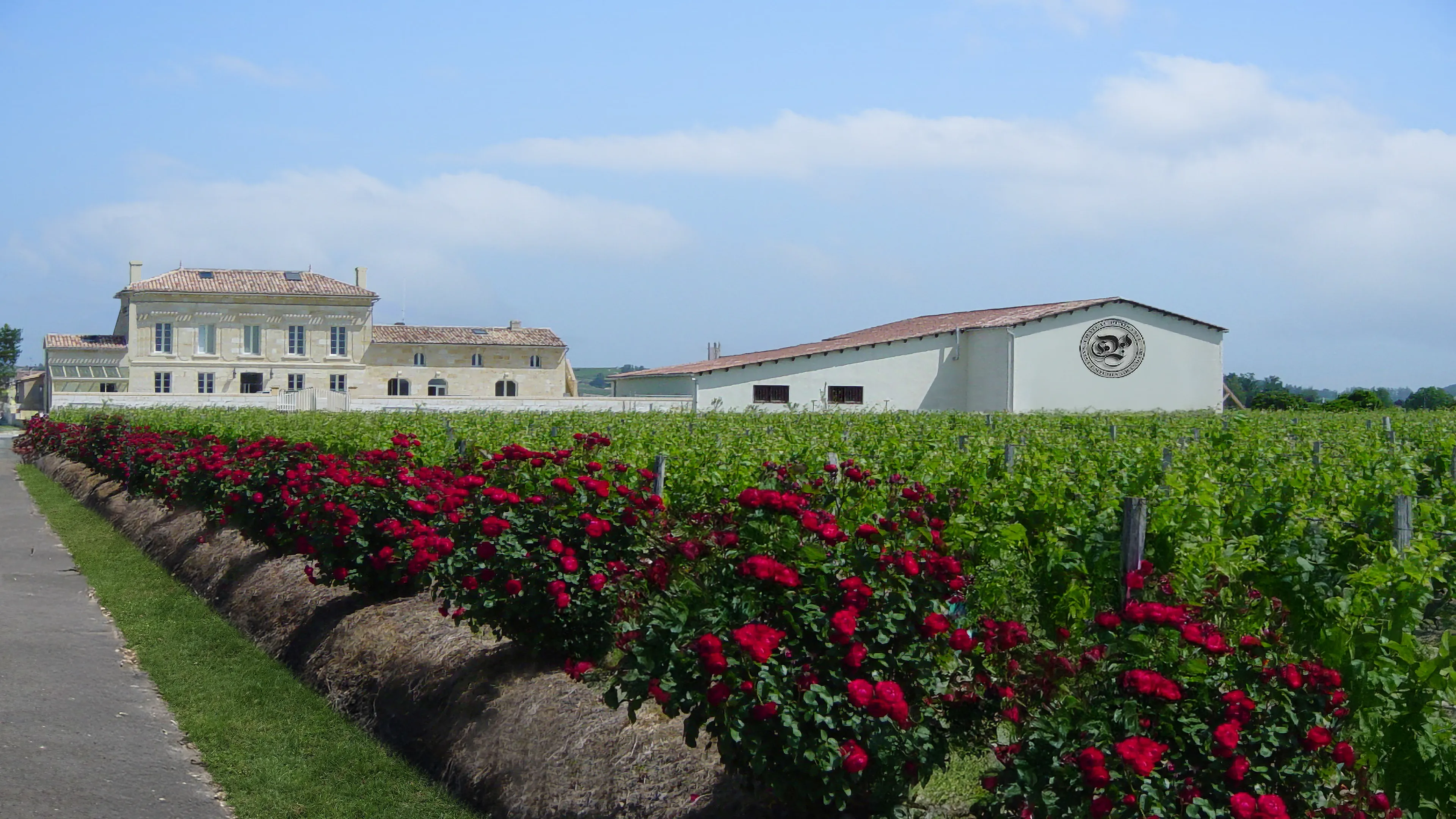 历史悠久的Plaisance城堡酒庄，一个自1881年起在圣埃美隆产区酿造波尔多特级园葡萄酒的家族酒庄。图片展示了其葡萄园、传统城堡和现代化酒窖，前景是鲜艳的红玫瑰。