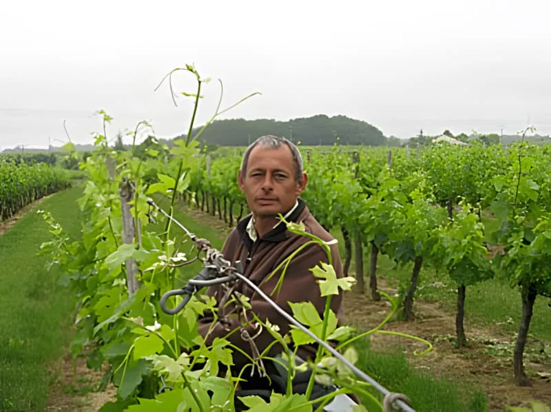 Un homme d'âge moyen en vêtements de travail debout parmi les vignes vertes, tenant des outils de vignoble et souriant à la caméra.
